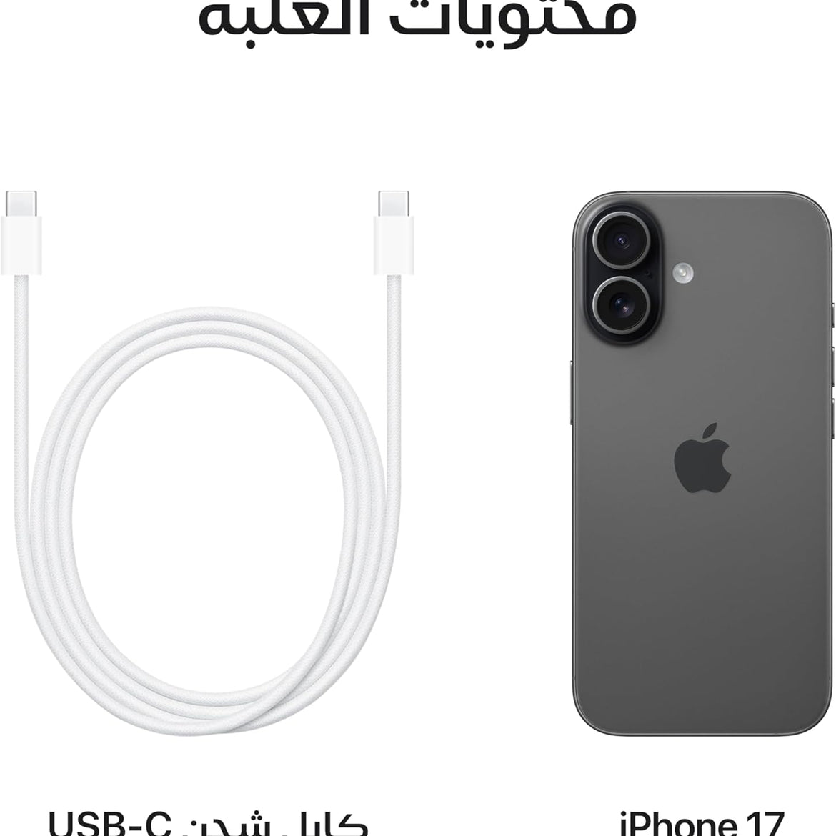 Apple iPhone 17 256 GB: 6.3-inch Display with ProMotion, A19 Chip, Center Stage Front Camera for Smarter Group Selfies, Improved Scratch Resistance, All-Day Battery Life; Mist Blue