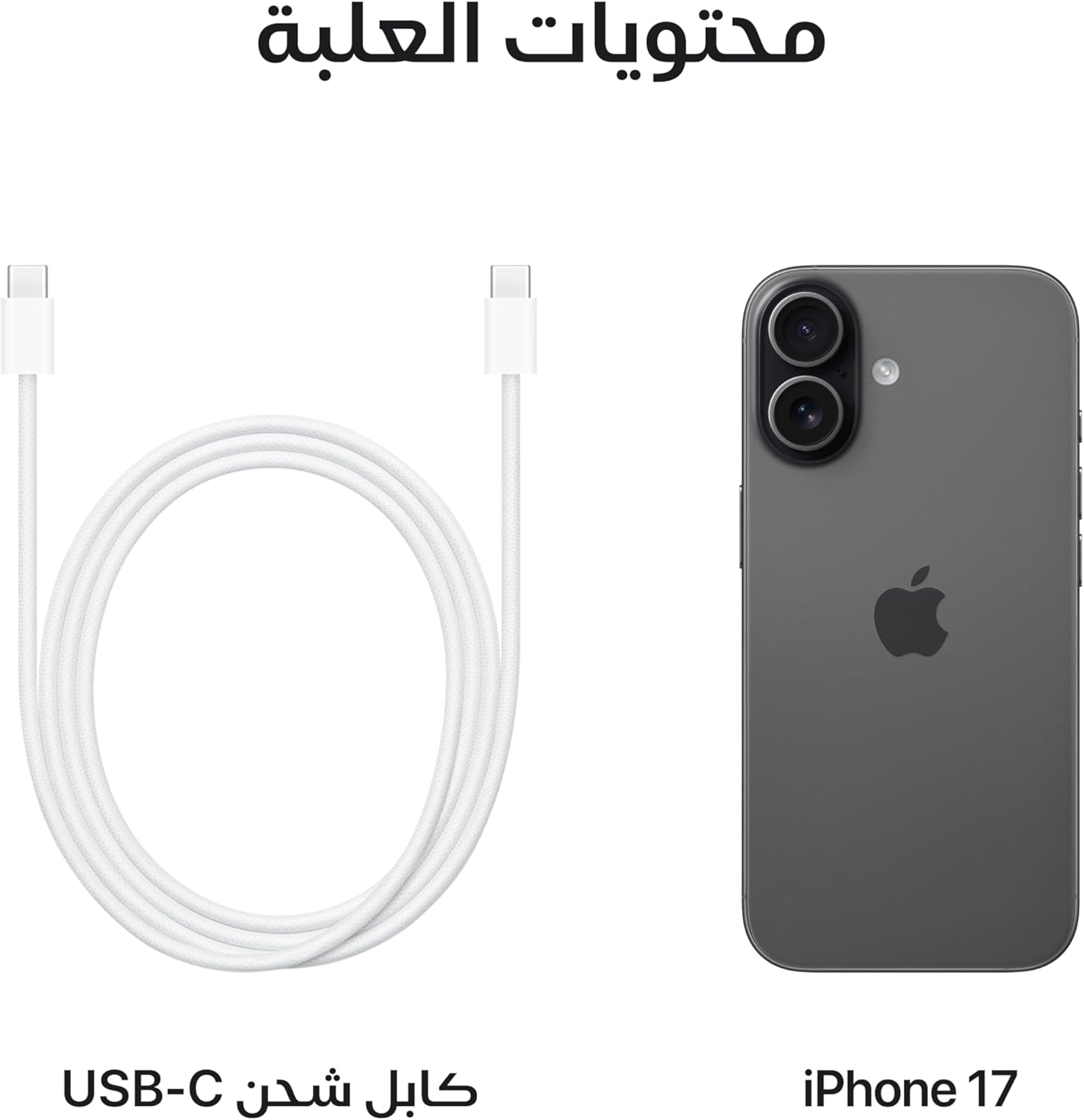 Apple iPhone 17 256 GB: 6.3-inch Display with ProMotion, A19 Chip, Center Stage Front Camera for Smarter Group Selfies, Improved Scratch Resistance, All-Day Battery Life; Mist Blue