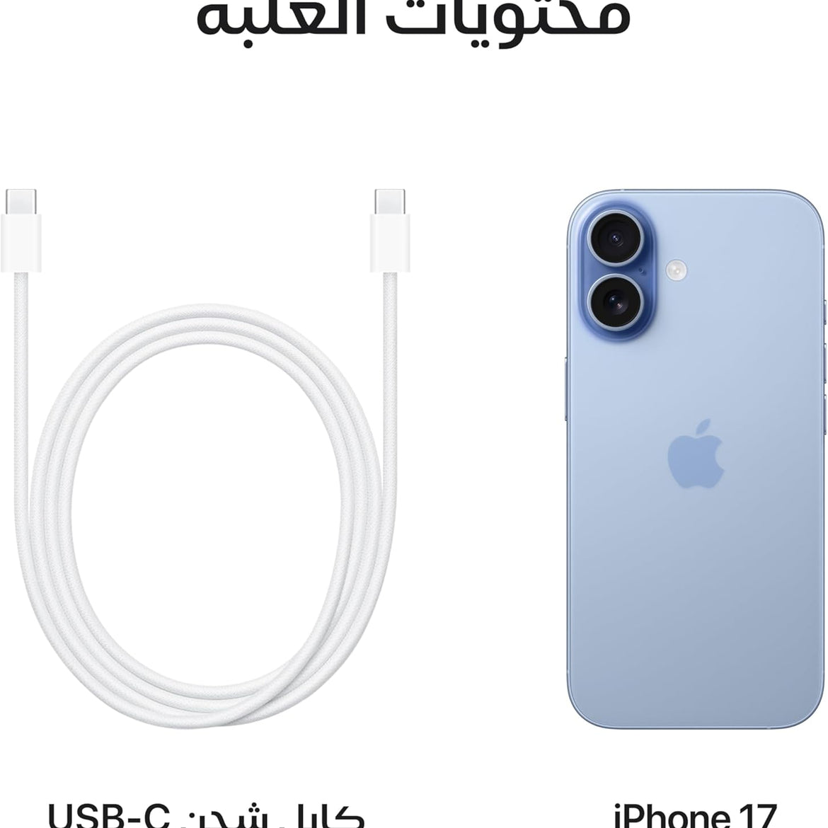 Apple iPhone 17 256 GB: 6.3-inch Display with ProMotion, A19 Chip, Center Stage Front Camera for Smarter Group Selfies, Improved Scratch Resistance, All-Day Battery Life; Mist Blue