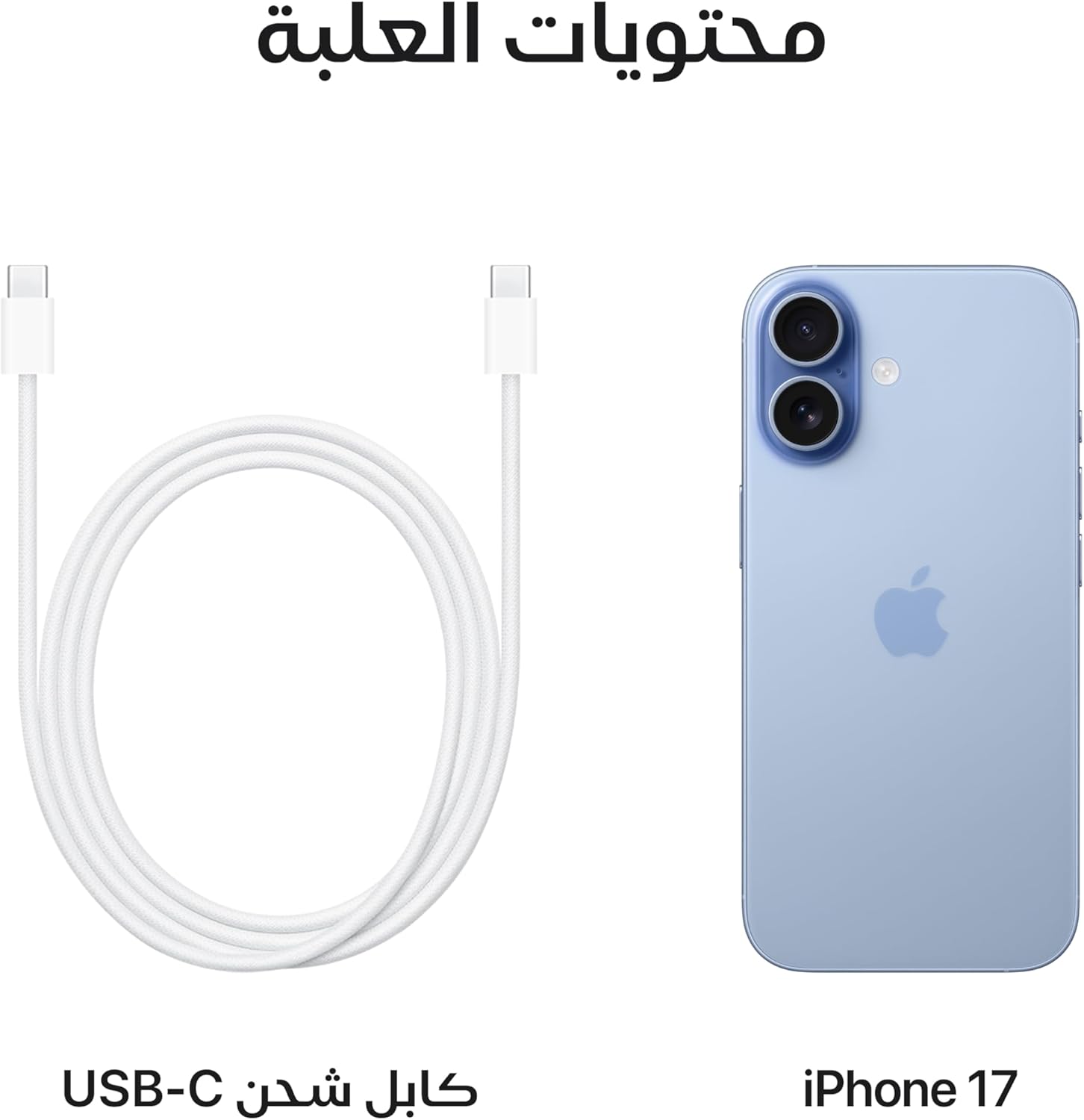 Apple iPhone 17 256 GB: 6.3-inch Display with ProMotion, A19 Chip, Center Stage Front Camera for Smarter Group Selfies, Improved Scratch Resistance, All-Day Battery Life; Mist Blue