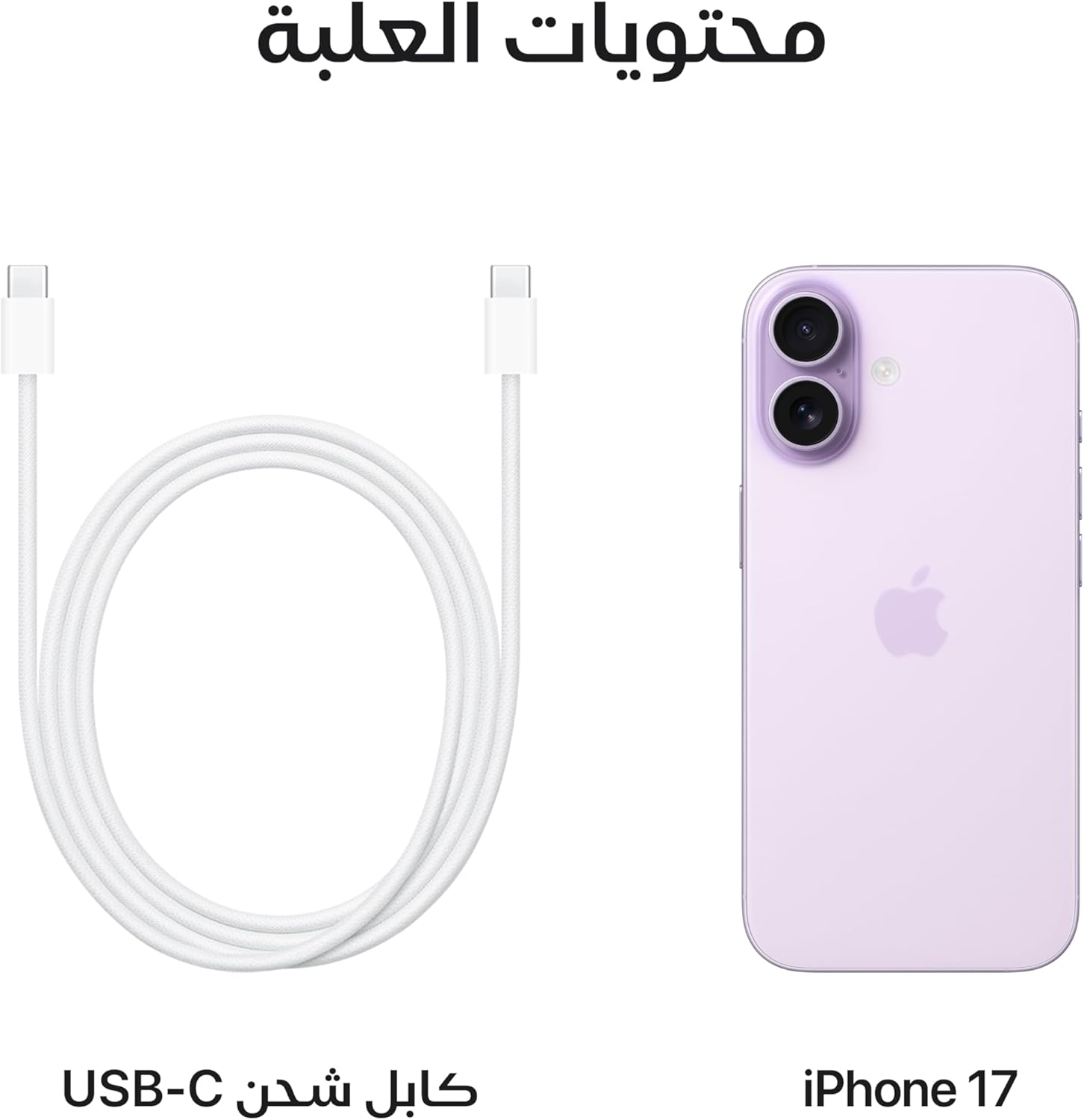 Apple iPhone 17 256 GB: 6.3-inch Display with ProMotion, A19 Chip, Center Stage Front Camera for Smarter Group Selfies, Improved Scratch Resistance, All-Day Battery Life; Mist Blue