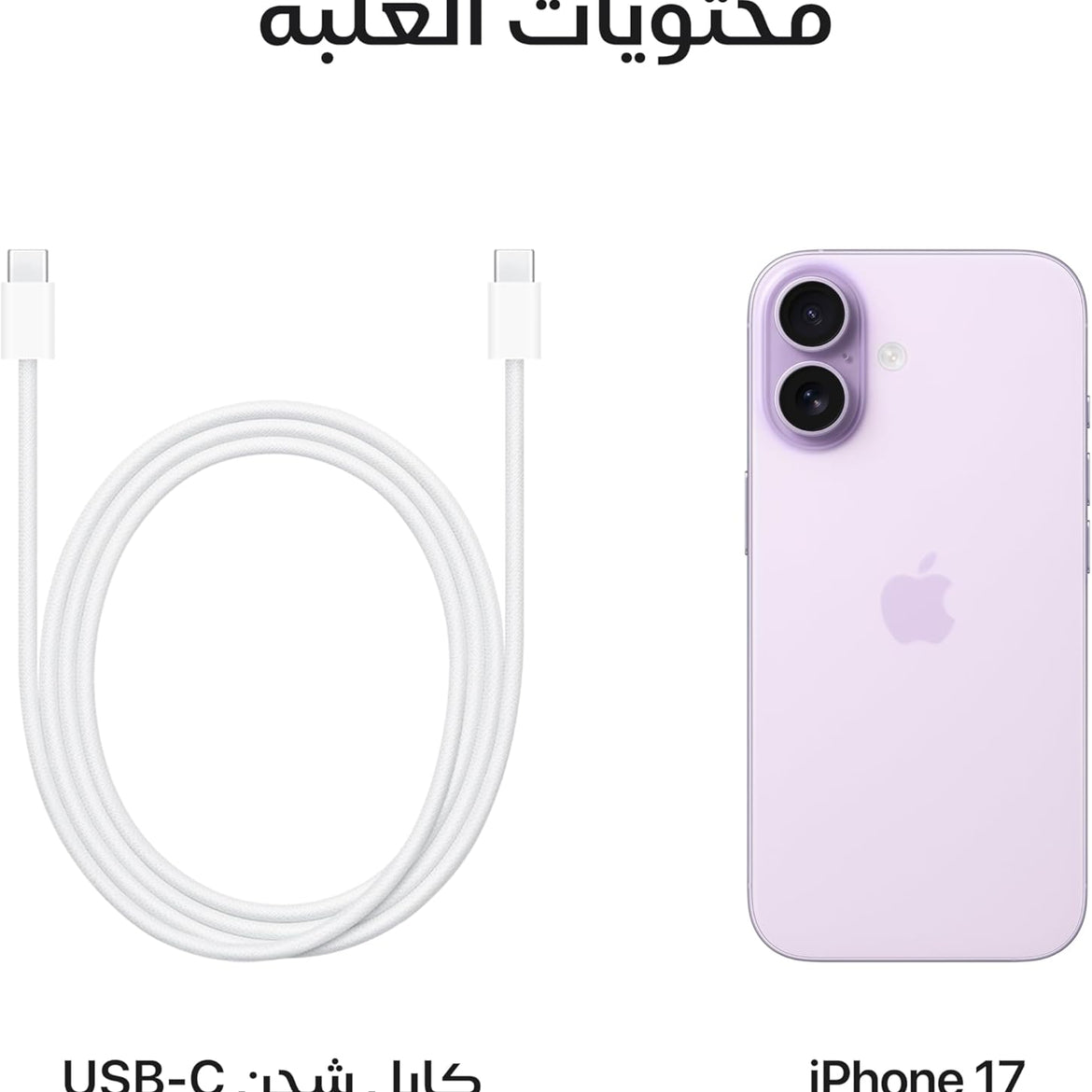 Apple iPhone 17 256 GB: 6.3-inch Display with ProMotion, A19 Chip, Center Stage Front Camera for Smarter Group Selfies, Improved Scratch Resistance, All-Day Battery Life; Mist Blue