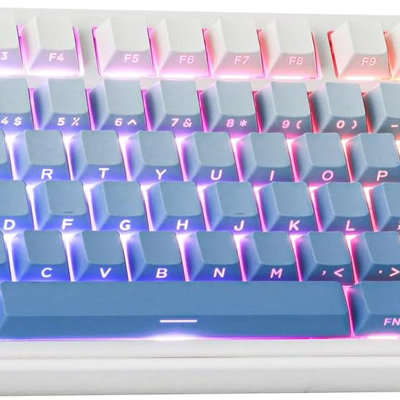 EPOMAKER x AULA F75 Gasket Mechanical Keyboard, 75% Wireless Hot Swappable Gaming Keyboard with Five-Layer Padding&Knob, Bluetooth/2.4GHz/USB-C, RGB (Black Gradient, LEOBOG Reaper Switch)