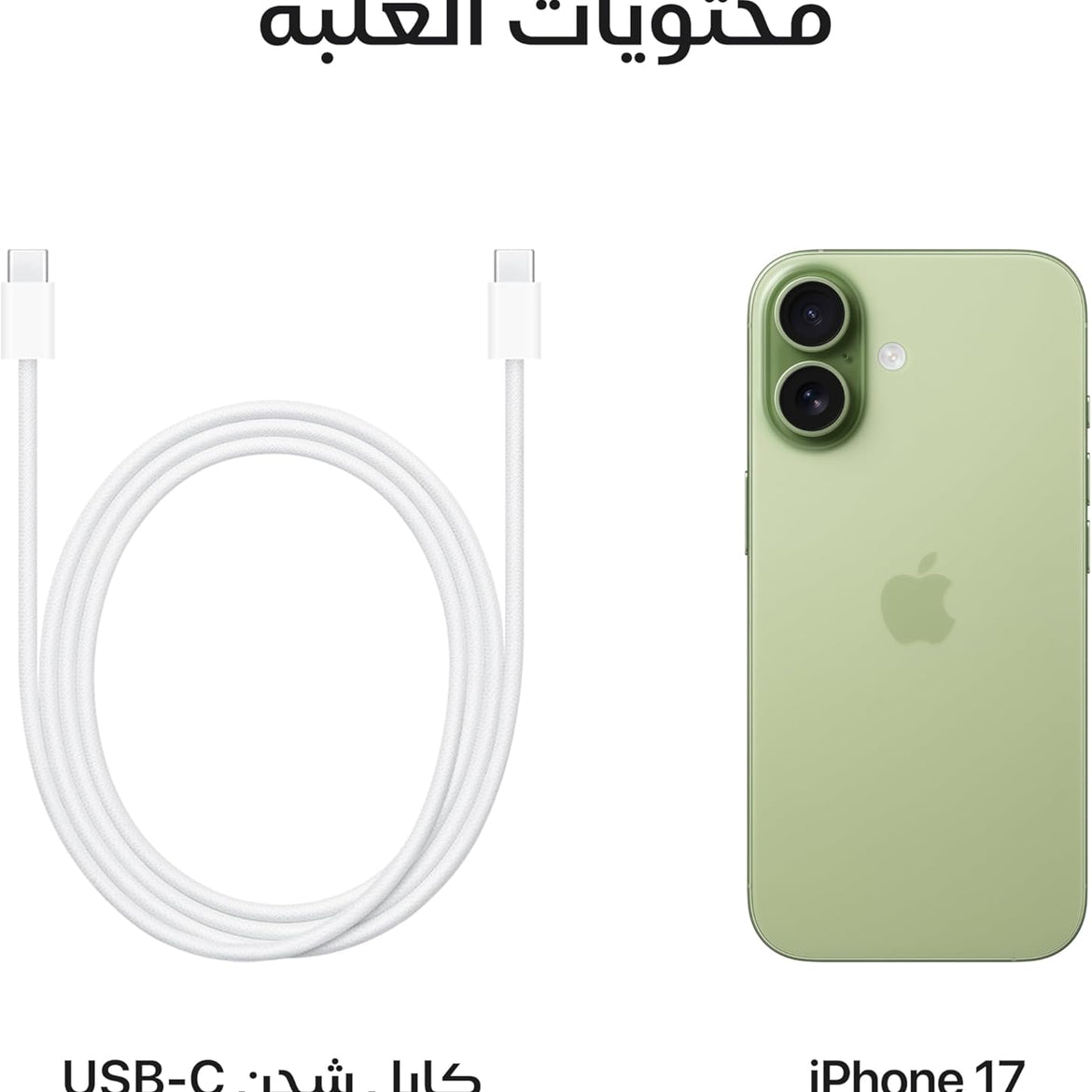 Apple iPhone 17 256 GB: 6.3-inch Display with ProMotion, A19 Chip, Center Stage Front Camera for Smarter Group Selfies, Improved Scratch Resistance, All-Day Battery Life; Mist Blue
