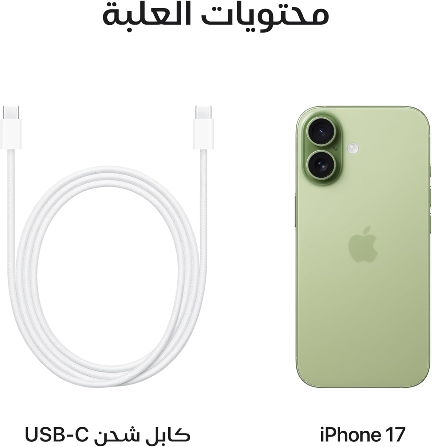 Apple iPhone 17 256 GB: 6.3-inch Display with ProMotion, A19 Chip, Center Stage Front Camera for Smarter Group Selfies, Improved Scratch Resistance, All-Day Battery Life; Mist Blue