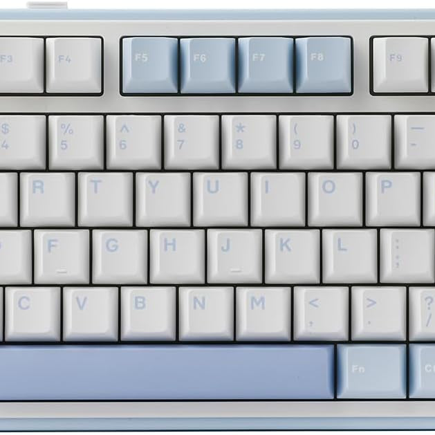 EPOMAKER x AULA F75 Gasket Mechanical Keyboard, 75% Wireless Hot Swappable Gaming Keyboard with Five-Layer Padding&Knob, Bluetooth/2.4GHz/USB-C, RGB (Black Gradient, LEOBOG Reaper Switch)