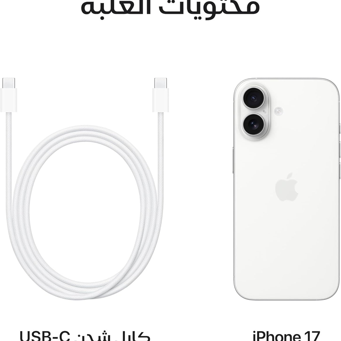 Apple iPhone 17 256 GB: 6.3-inch Display with ProMotion, A19 Chip, Center Stage Front Camera for Smarter Group Selfies, Improved Scratch Resistance, All-Day Battery Life; Mist Blue