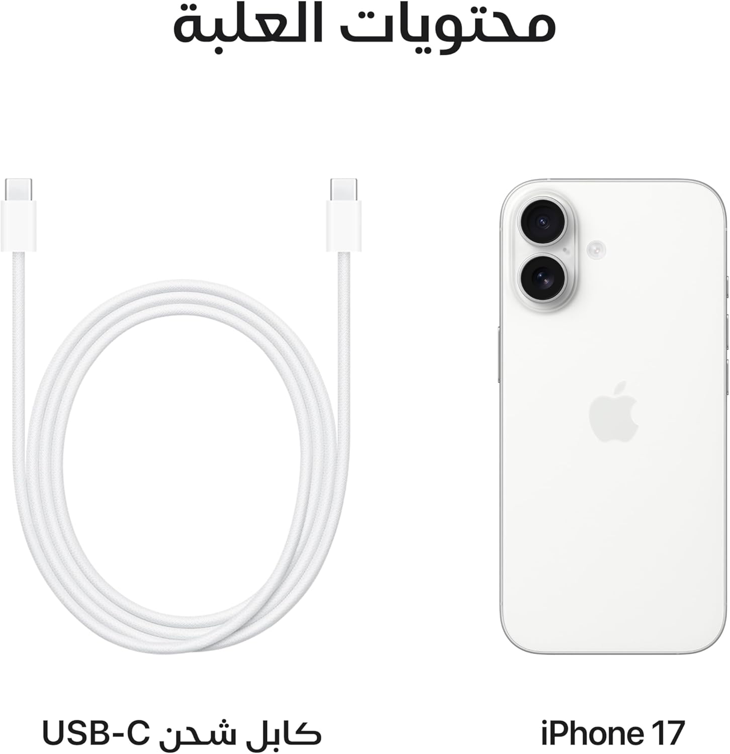 Apple iPhone 17 256 GB: 6.3-inch Display with ProMotion, A19 Chip, Center Stage Front Camera for Smarter Group Selfies, Improved Scratch Resistance, All-Day Battery Life; Mist Blue