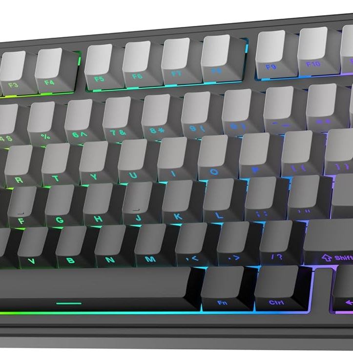 EPOMAKER x AULA F75 Gasket Mechanical Keyboard, 75% Wireless Hot Swappable Gaming Keyboard with Five-Layer Padding&Knob, Bluetooth/2.4GHz/USB-C, RGB (Black Gradient, LEOBOG Reaper Switch)