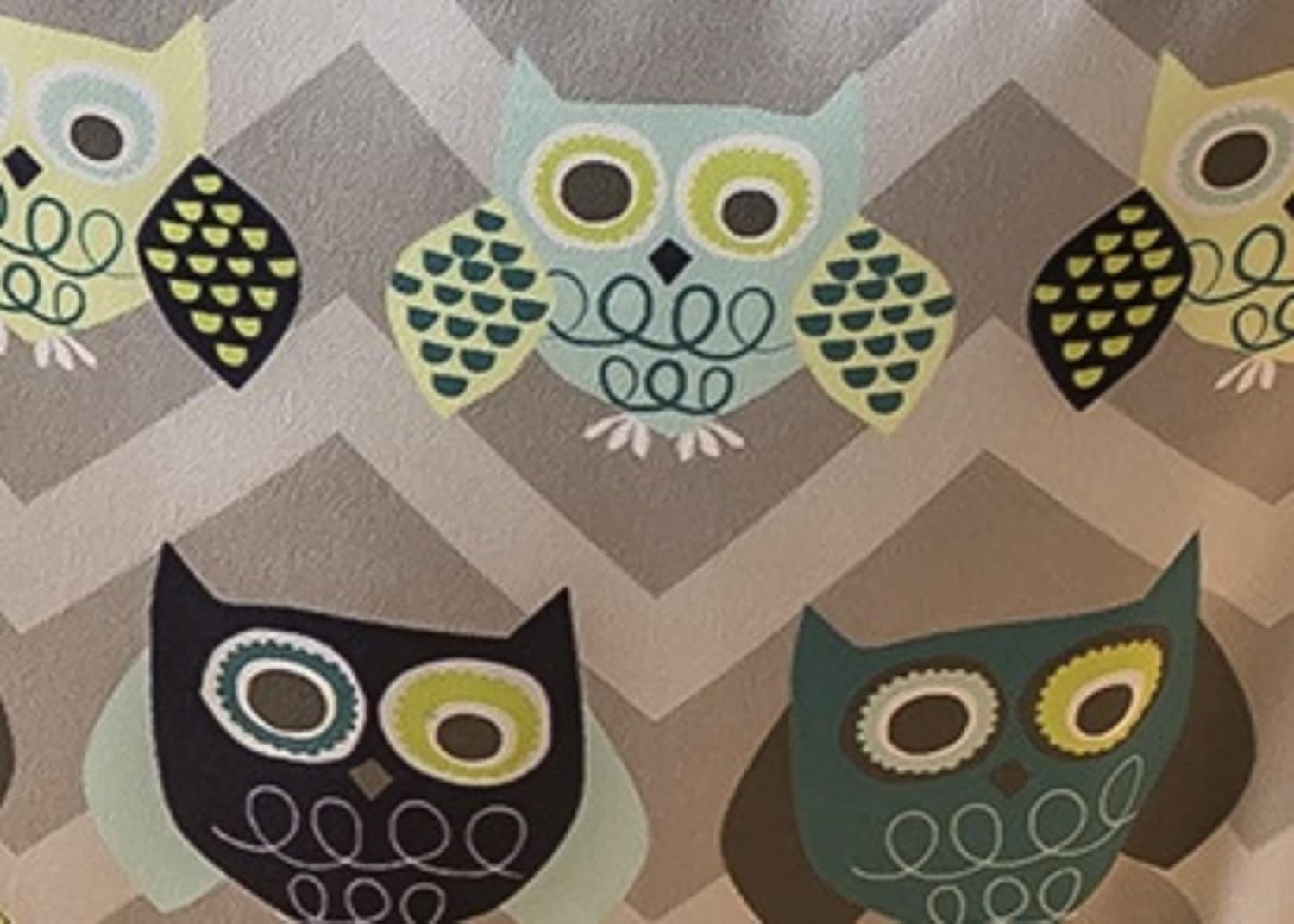 Evenflo Exersaucer Door Baby Jumper, Owl