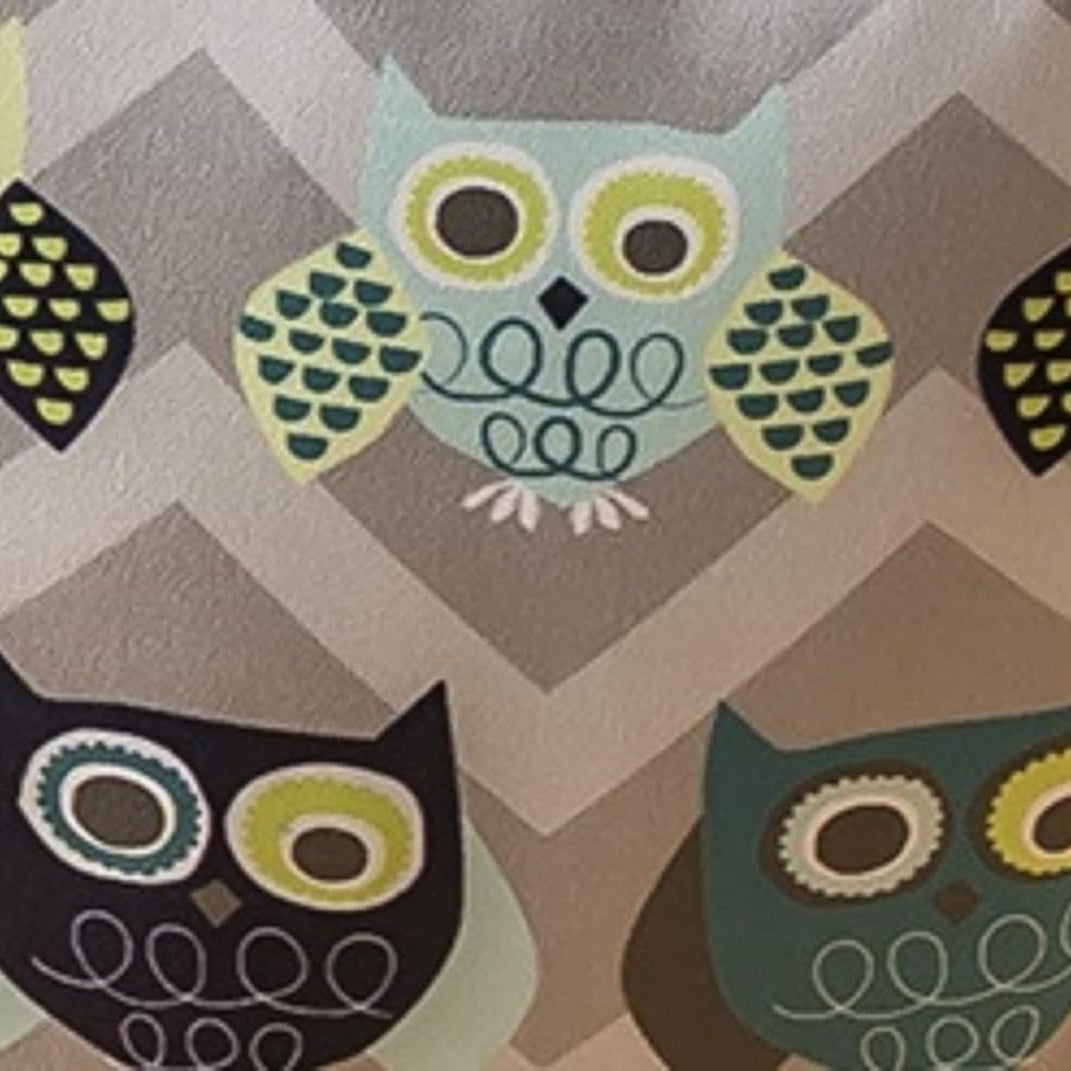 Evenflo Exersaucer Door Baby Jumper, Owl