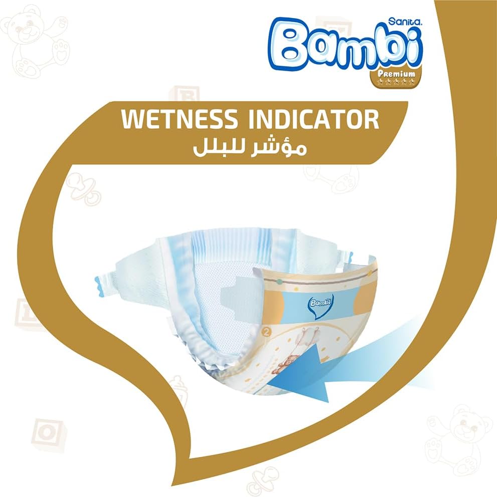 Sanita Bambi, Size 2, Small, 3-6 Kg, Value Pack, 48 Diapers