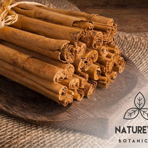 Naturevibe Botanicals Ceylon Cinnamon Powder
