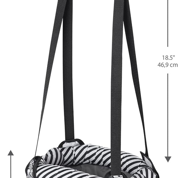 Evenflo Doorway Jumper (Star Power)