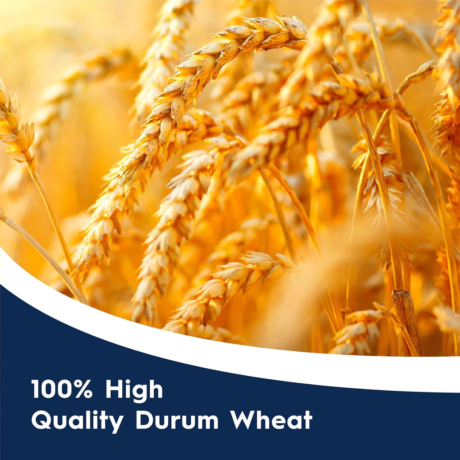 Barilla Conchiglie Rigate Pasta, 500 gm