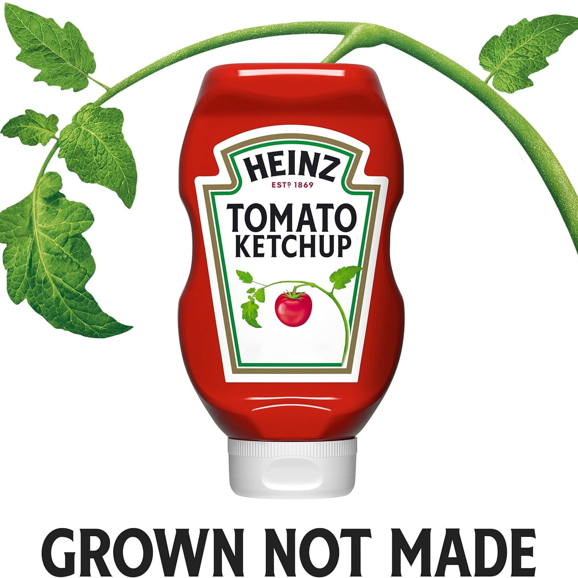 Heinz Tomato Ketchup Bottle, 570 Gm