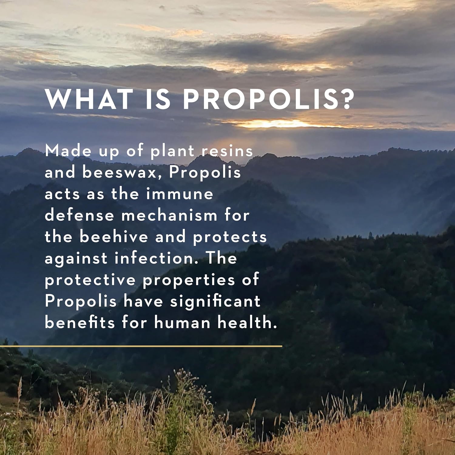 Manuka Health, MGO 400+ Manuka Honey Lozenges with Blackcurrant, 58 lozenges